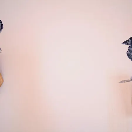 Curious Crow 3 By Homeful Homes Daire Lisboa